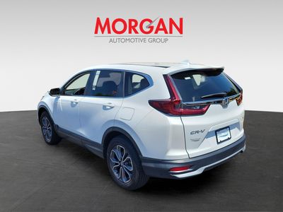 2020 Honda CR-V - Photo 6