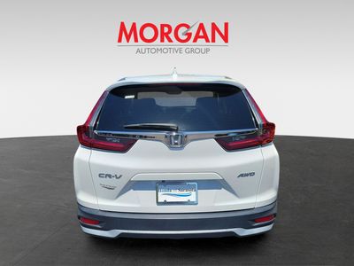 2020 Honda CR-V - Photo 5