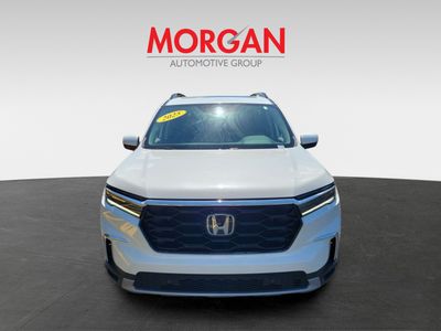 2025 Honda Pilot - Photo 2