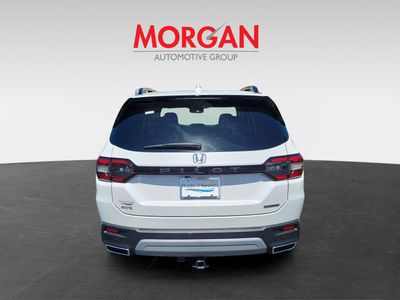 2025 Honda Pilot - Photo 5