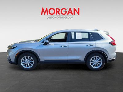 2025 Honda CR-V - Photo 7
