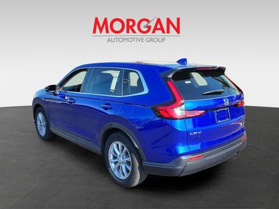 2025 Honda CR-V - Photo 6