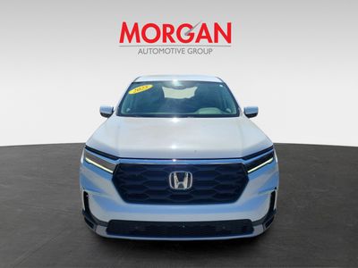 2025 Honda Pilot - Photo 2