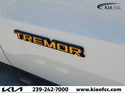 2025 Ford Expedition - Photo 9