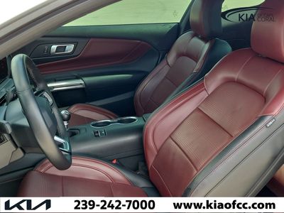 2024 Ford Mustang - Photo 14
