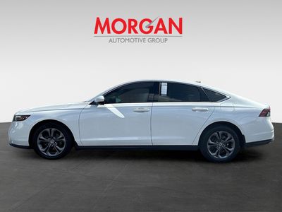 2023 Honda Accord Sedan - Photo 3