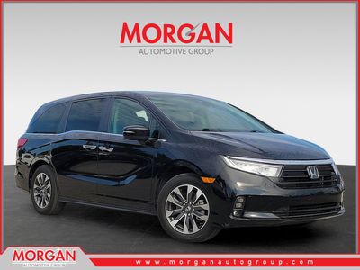 2024 Honda Odyssey - Photo 1