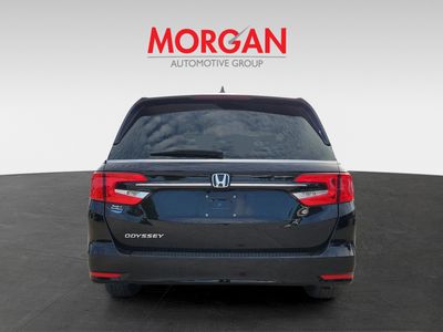 2024 Honda Odyssey - Photo 3