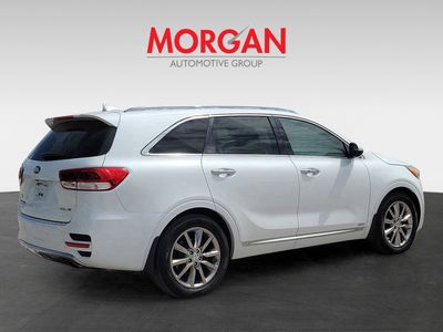 2016 Kia Sorento - Photo 3