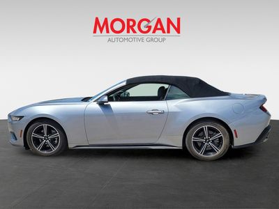 2024 Ford Mustang - Photo 2