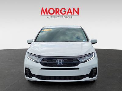 2025 Honda Odyssey - Photo 2