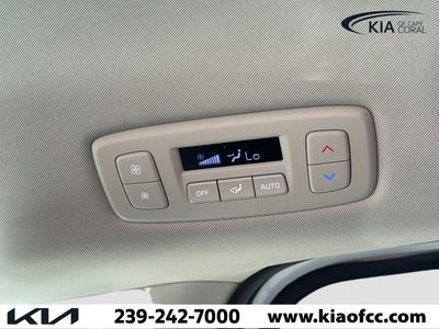 2026 Kia Carnival Hybrid — photo 20 view