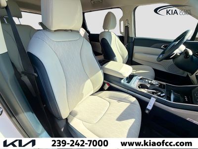 2026 Kia Carnival Hybrid — photo 15 view
