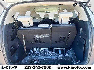 2026 Kia Carnival Hybrid — photo 12 view