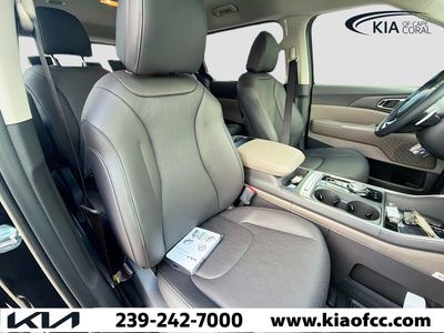 2026 Kia Carnival Hybrid — photo 14 view