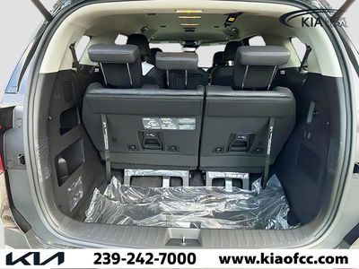2026 Kia Carnival Hybrid — photo 11 view