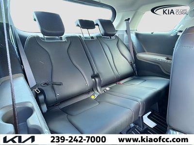 2026 Kia Carnival Hybrid — photo 20 view