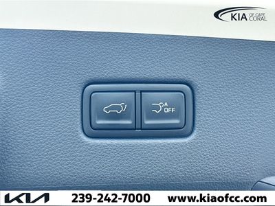 2026 Kia Carnival Hybrid — photo 13 view