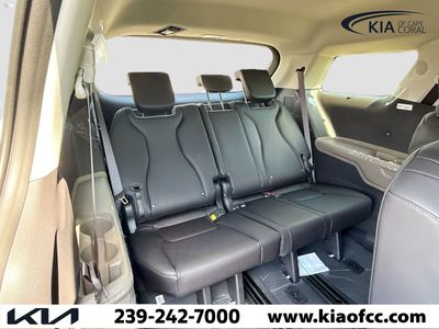 2026 Kia Carnival Hybrid — photo 21 view