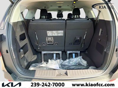 2026 Kia Carnival Hybrid — photo 11 view