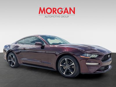 2018 Ford Mustang - Photo 2