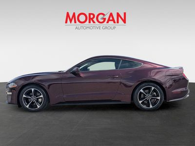 2018 Ford Mustang - Photo 8