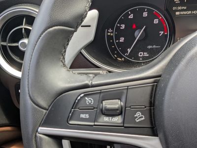 2019 Alfa Romeo Stelvio - Photo 32