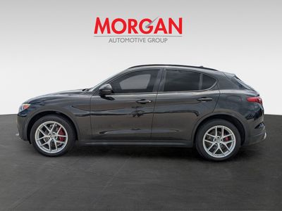 2019 Alfa Romeo Stelvio - Photo 8