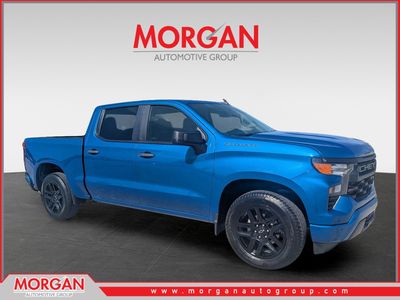 2023 Chevrolet Silverado 1500 - Photo 1