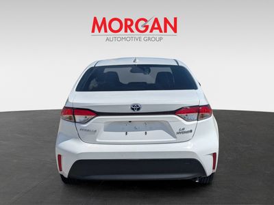 2023 Toyota Corolla - Photo 6