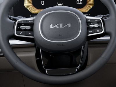 2026 Kia Carnival — photo 22 view