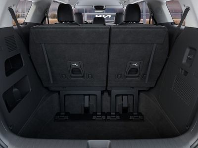 2026 Kia Carnival — photo 19 view