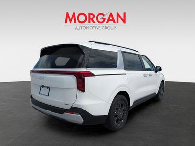 2026 Kia Carnival Hybrid — detail view