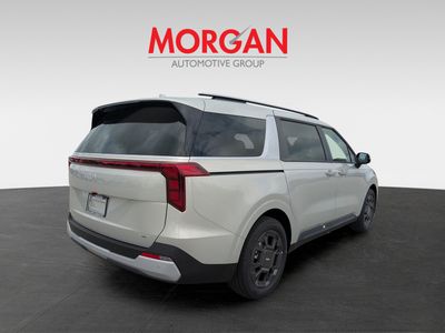 2026 Kia Carnival Hybrid — detail view