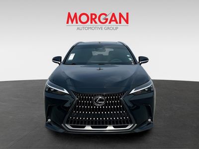 2025 Lexus NX - Photo 2