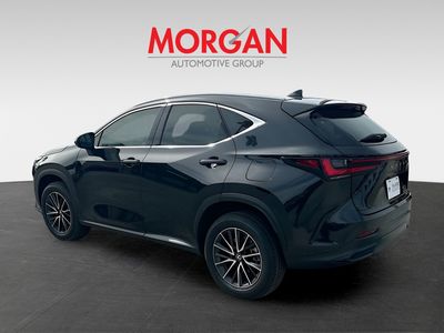 2025 Lexus NX - Photo 5