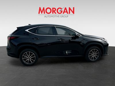 2025 Lexus NX - Photo 8