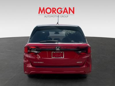 2026 Honda Odyssey - Photo 6