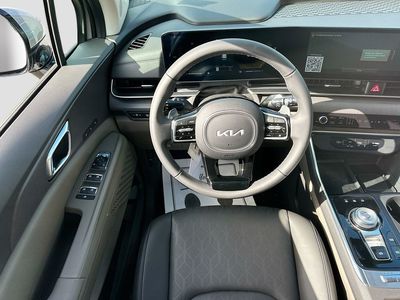 2026 Kia Carnival Hybrid — photo 22 view