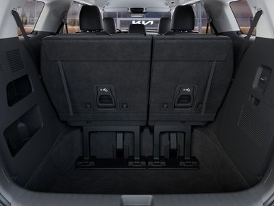 2026 Kia Carnival Hybrid - Photo 19