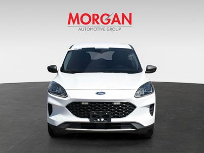 2022 Ford Escape - Photo 2