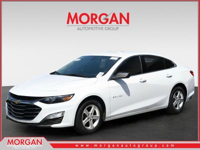 2019 Chevrolet Malibu - Photo 1