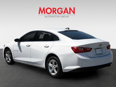 2019 Chevrolet Malibu - Photo 4