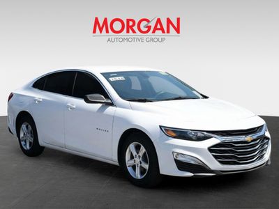 2019 Chevrolet Malibu - Photo 3