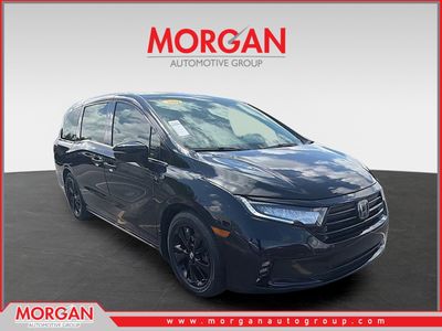 2024 Honda Odyssey - Photo 1