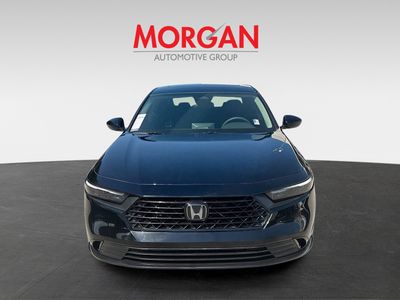 2024 Honda Accord Sedan - Photo 2
