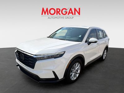 2024 Honda CR-V - Photo 3