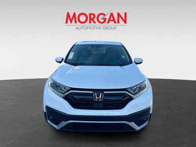2020 Honda CR-V - Photo 2