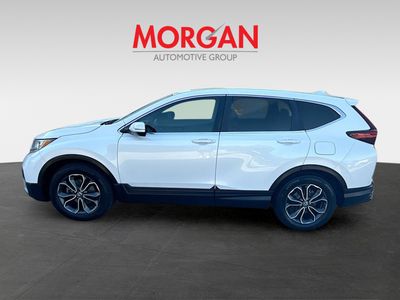 2020 Honda CR-V - Photo 4