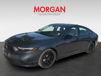 2025 Honda Accord Sedan - Photo 3